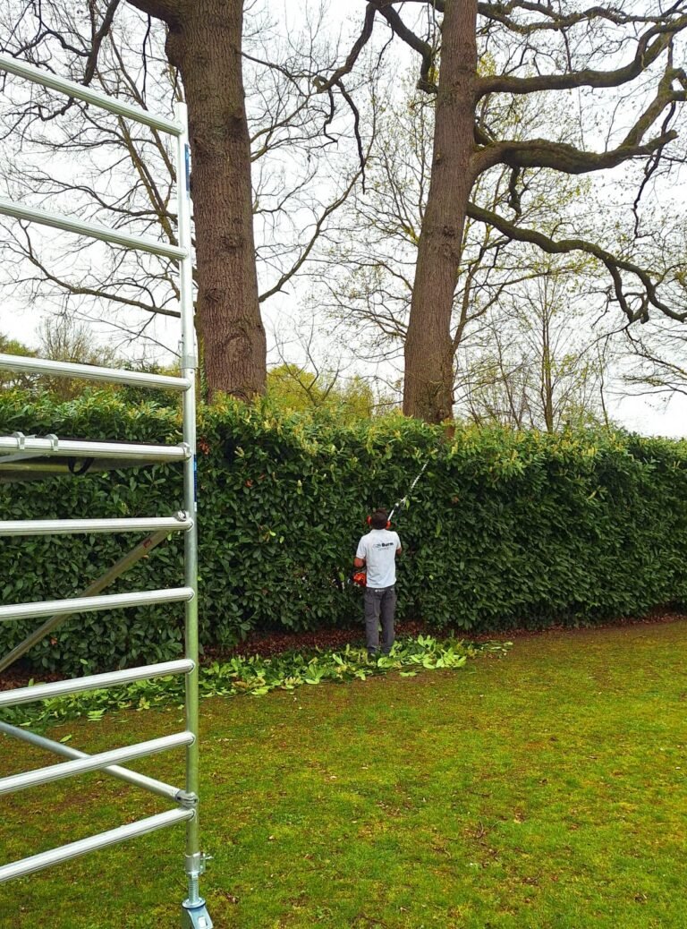 Snoeiwerk aan het groen rond een pand door Burm & Co