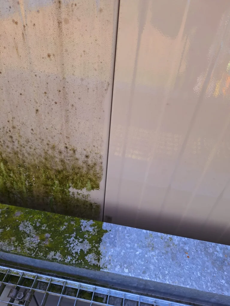 Voor en na: beplating met groene aanslag naast het gereinigde deel