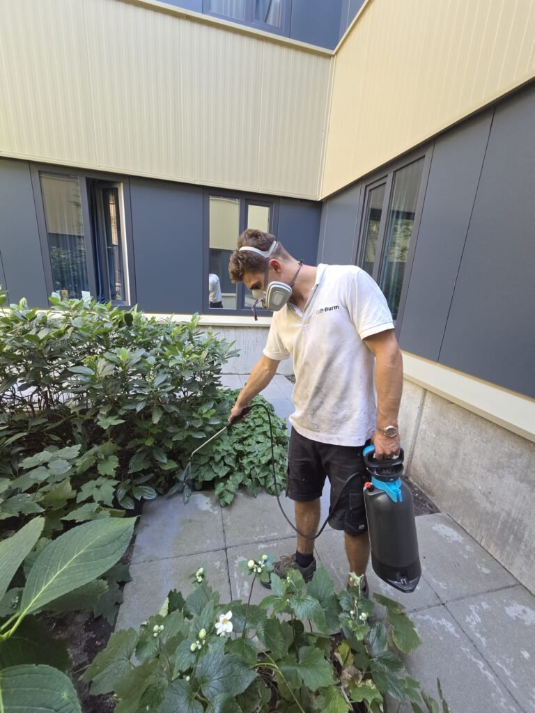 Patrick van Burm & Co impregneert een terras met een drukspuit en masker