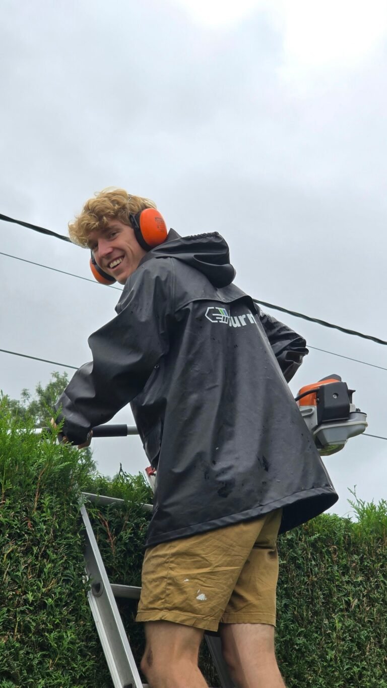 Quinten van Burm & Co op een ladder met heggenschaar en gehoorbescherming bij een coniferenhaag